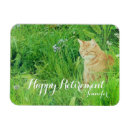 Search for gingers magnets For her