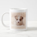 Search for queens corgi mugs Puppy