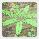 Search for woodsy stickers Green