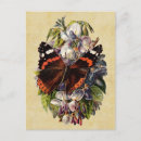 Search for vintage butterfly postcards Rose