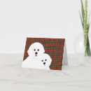 Search for bichon frise cards Pets