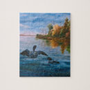 Search for loon puzzles Lake
