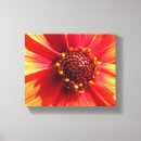 Search for dahlia canvas prints Petal
