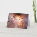 Search for mate cards Soul mates