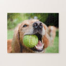Search for tennis ball puzzles Animal