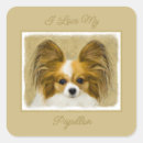 Search for continental stickers Papillon