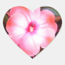 Search for spring time stickers Nature