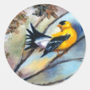 Search for goldfinch stickers Finches