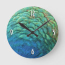 Search for nature clocks Green