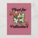 Search for pollinators postcards Plant