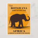 Search for botswana travel postcards National park