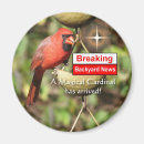Search for bird watching magnets Ornithology