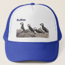 Search for puffin hats Animals