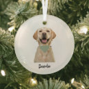 Search for new year christmas tree decorations Pet