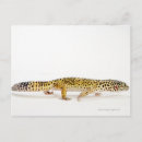 Search for side view postcards Animal
