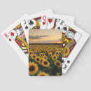 Search for yellow sunflowers playing cards Plant