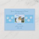 Search for rough business cards Collie