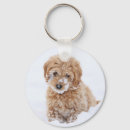 Search for goldendoodle key rings Adorable