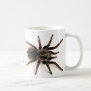 Search for tarantula mugs Halloween