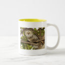 Search for hang in there cat mugs Kitty
