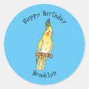 Search for cockatiel stickers Parrot
