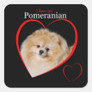 Search for pomeranian stickers Animals