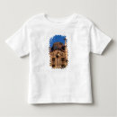 Search for gaudi tshirts Ornate
