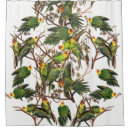 Search for parrot bird shower curtains Audubon