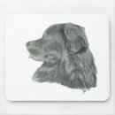 Search for newfies mousepads Newfy