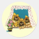 Search for pekingese stickers Puppy