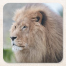 Search for lion coasters Regal