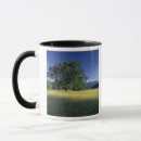 Search for smokey mountains mugs Park
