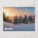 Search for frozen postcards Snow