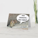 Search for cute chipmunk birthday cards Cake