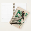 Search for james office supplies Birds of america
