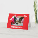 Search for boston terrier cards Get