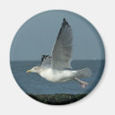 Search for blue circle photography White