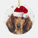 Search for long haired dachshund christmas tree decorations Dog