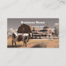 Search for longhorn business cards Cow