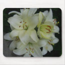 Search for lilly mousepads Lillies