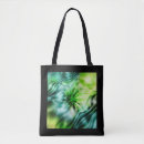 Search for apophysis accessories Fantasy