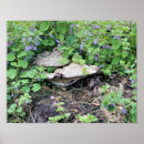 Search for dried flowers posters Nature