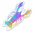Search for rainbow fish stickers Colourful