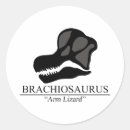 Search for brachiosaurus stickers Dinosaurs