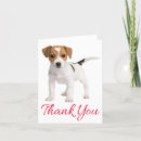 Search for jack russell terrier cards Puppy