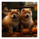 Search for chow puppy posters Animal