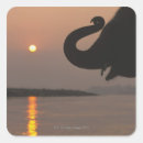 Search for elephant head stickers Animal
