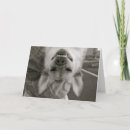 Search for encouragement humour cards Hang in there