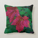 Search for new england cushions Foliage