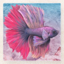 Search for beta kitchen dining Fish